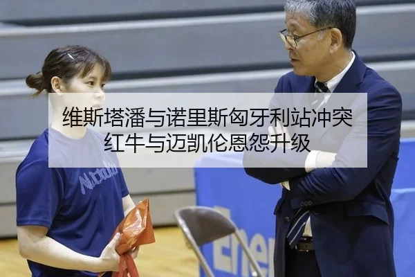 维斯塔潘与诺里斯匈牙利站冲突 红牛与迈凯伦恩怨升级